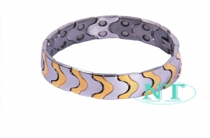 Titanium Bio Magnetic Bracelet- TITSKU010 Manufacturer Supplier Wholesale Exporter Importer Buyer Trader Retailer in Mumbai Maharashtra India